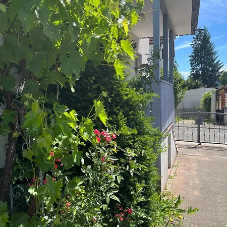 Am Kellerwald - Paradeplatz Forchheim (Bavaria)